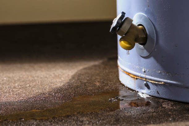  Ringgold, GA Water damage restoration Pros