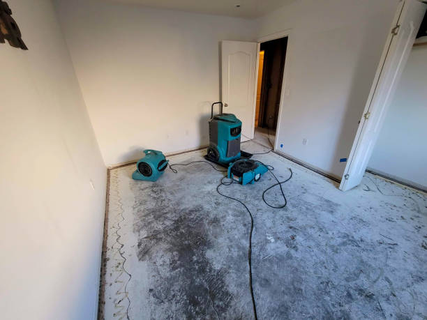 Best Mold removal after water damage  in Ringgold, GA