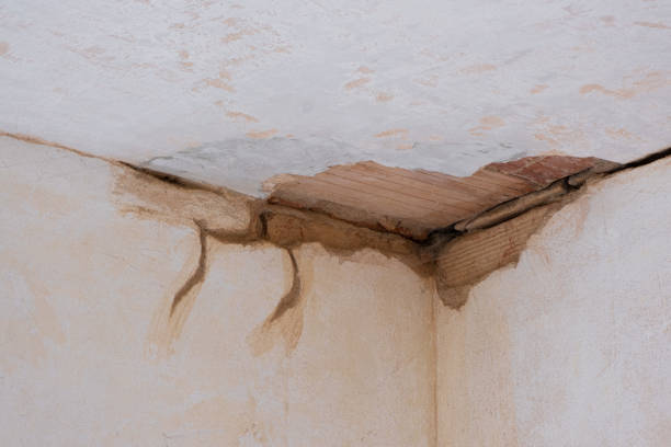Best Fire Damage Restoration  in Ringgold, GA