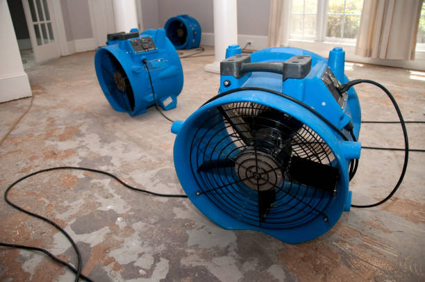 Best Flood restoration services  in Ringgold, GA