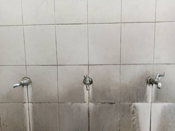 Best Ceiling water damage repair  in Ringgold, GA