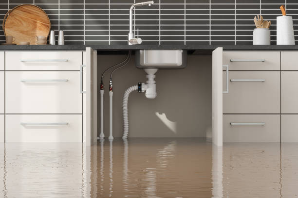 Water damage restoration mold remediation in GA