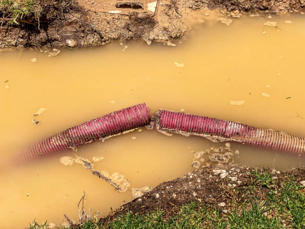 Best Sewage cleanup and water damage restoration  in Ringgold, GA
