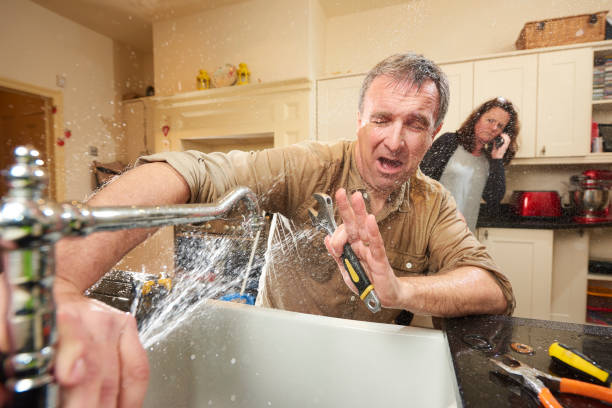 Best Water damage cleanup near me  in Ringgold, GA